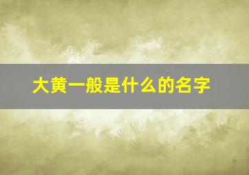 大黄一般是什么的名字