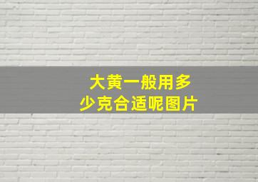 大黄一般用多少克合适呢图片