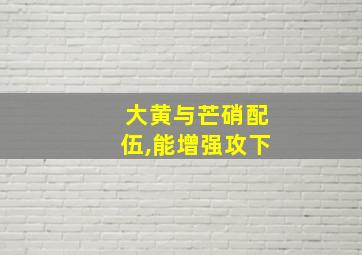 大黄与芒硝配伍,能增强攻下