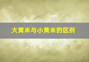 大黄米与小黄米的区别