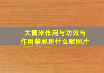 大黄米作用与功效与作用禁忌是什么呢图片