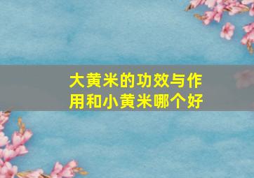 大黄米的功效与作用和小黄米哪个好