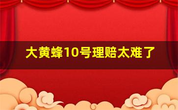 大黄蜂10号理赔太难了