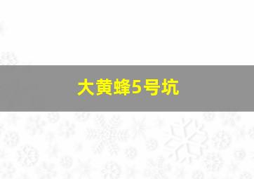 大黄蜂5号坑