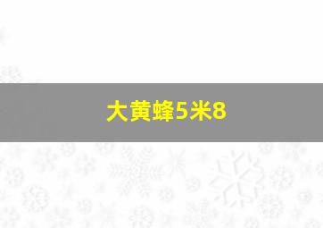 大黄蜂5米8