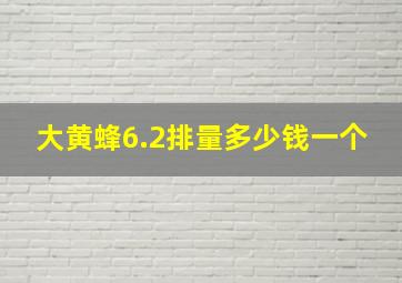 大黄蜂6.2排量多少钱一个