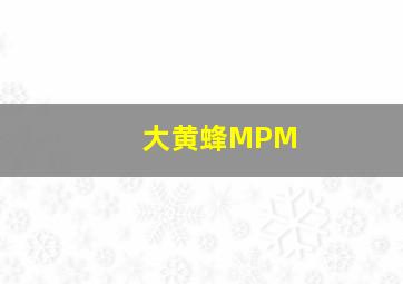 大黄蜂MPM