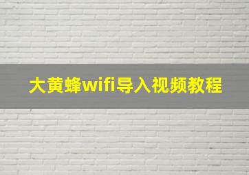 大黄蜂wifi导入视频教程