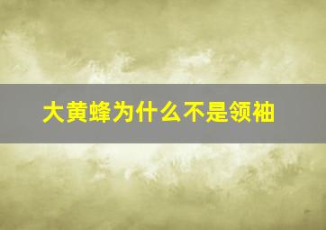 大黄蜂为什么不是领袖