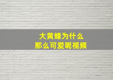 大黄蜂为什么那么可爱呢视频