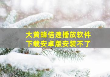 大黄蜂倍速播放软件下载安卓版安装不了