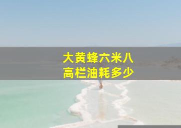 大黄蜂六米八高栏油耗多少