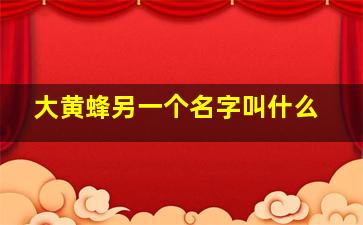 大黄蜂另一个名字叫什么