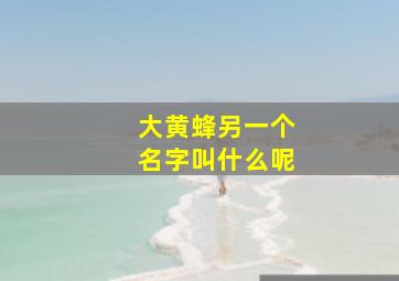 大黄蜂另一个名字叫什么呢