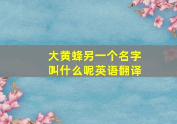 大黄蜂另一个名字叫什么呢英语翻译