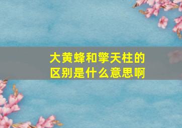 大黄蜂和擎天柱的区别是什么意思啊