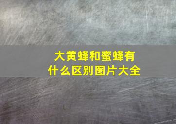 大黄蜂和蜜蜂有什么区别图片大全