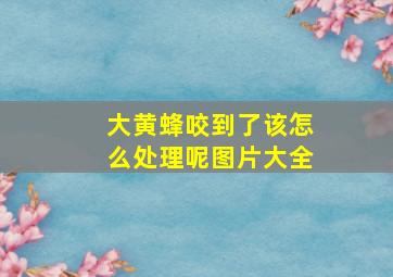 大黄蜂咬到了该怎么处理呢图片大全