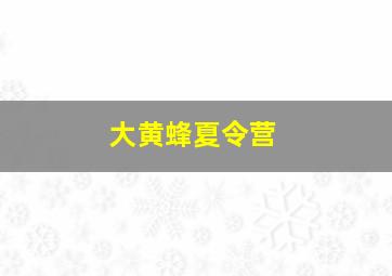 大黄蜂夏令营