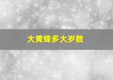 大黄蜂多大岁数