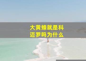 大黄蜂就是科迈罗吗为什么