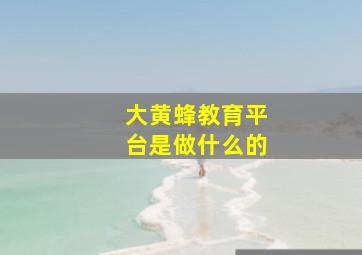 大黄蜂教育平台是做什么的