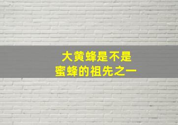 大黄蜂是不是蜜蜂的祖先之一