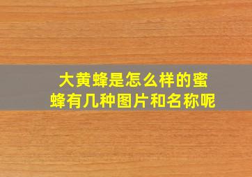 大黄蜂是怎么样的蜜蜂有几种图片和名称呢