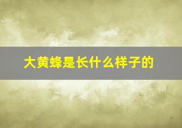 大黄蜂是长什么样子的