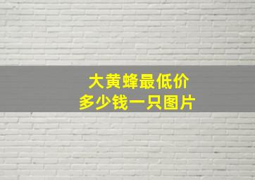 大黄蜂最低价多少钱一只图片