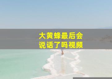 大黄蜂最后会说话了吗视频