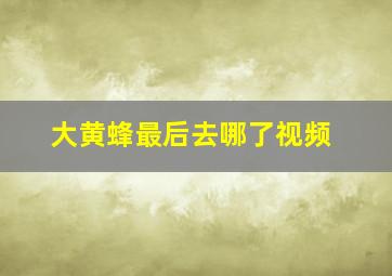 大黄蜂最后去哪了视频