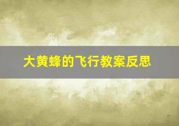 大黄蜂的飞行教案反思