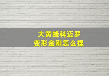 大黄蜂科迈罗变形金刚怎么捏