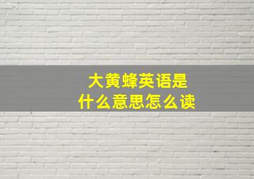 大黄蜂英语是什么意思怎么读