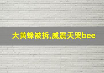 大黄蜂被拆,威震天哭bee