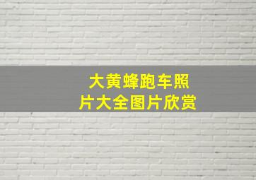 大黄蜂跑车照片大全图片欣赏