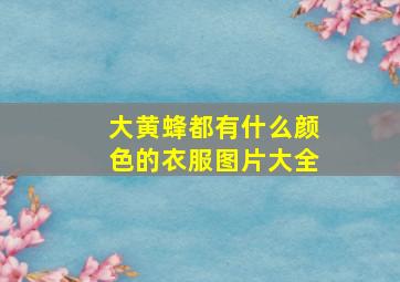 大黄蜂都有什么颜色的衣服图片大全