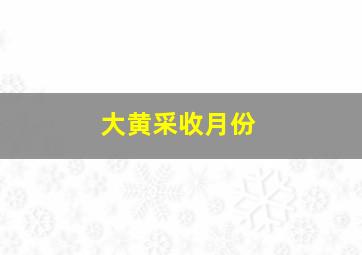 大黄采收月份