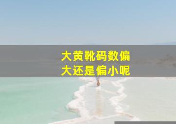 大黄靴码数偏大还是偏小呢