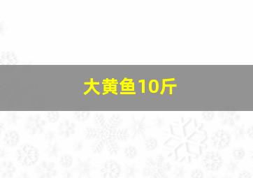 大黄鱼10斤