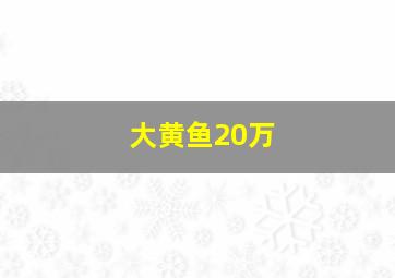 大黄鱼20万