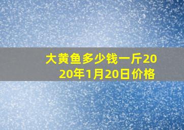 大黄鱼多少钱一斤2020年1月20日价格