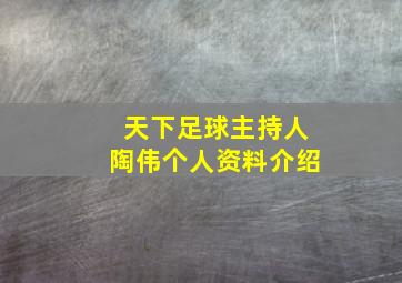 天下足球主持人陶伟个人资料介绍