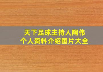 天下足球主持人陶伟个人资料介绍图片大全