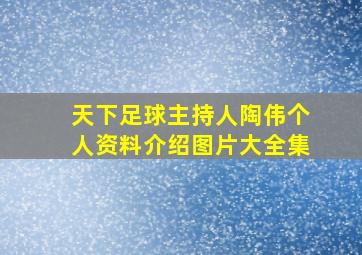 天下足球主持人陶伟个人资料介绍图片大全集