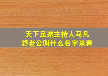 天下足球主持人马凡舒老公叫什么名字来着