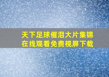 天下足球催泪大片集锦在线观看免费视屏下载