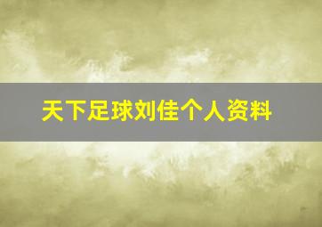 天下足球刘佳个人资料