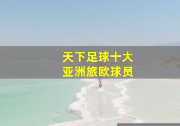 天下足球十大亚洲旅欧球员